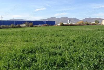 Teren de 43000 mp, în Central - 8