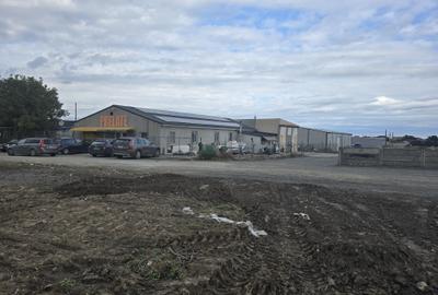 Teren de vanzare in Ovidiu - 7