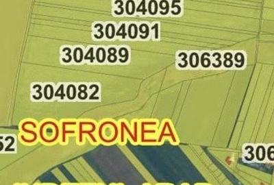 Spațiu comercial, în Șofronea - 1