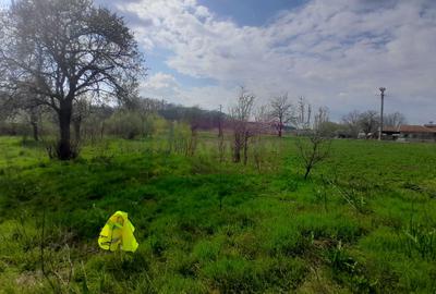 Teren Construcții intravilan de 3400 mp, în Buturugeni - 18
