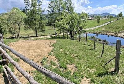 Teren de 6924 mp, în Arieșeni - 5
