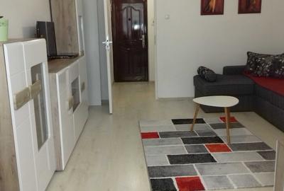 Garsonieră pe Detunata - 2