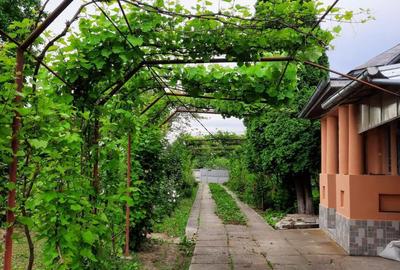 Casă cu 4 camere în Bălcești - 2