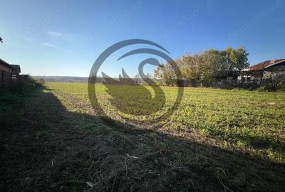 Teren de 12650 mp, în Ghirdoveni - 2