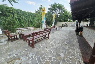 Casă + Afacere + Relaxare = Investiția Perfectă, in Cioranii de Jos - 40