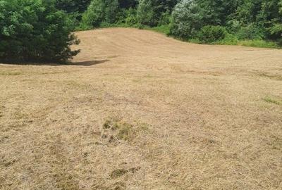 Teren intra si extravilan in Vad, Copalnic-Mănăștur, Maramures - 6