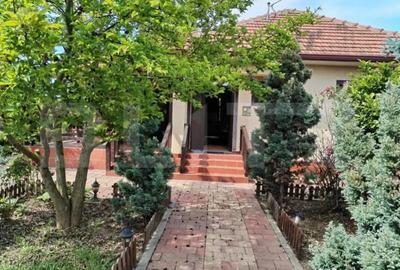 Casă cu 3 camere cu Teren 693 Mp în Lazuri - 10