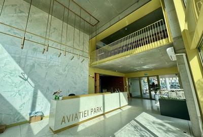 Apartament cu 2 camere semidecomandat, mobilat în Herăstrău - 14