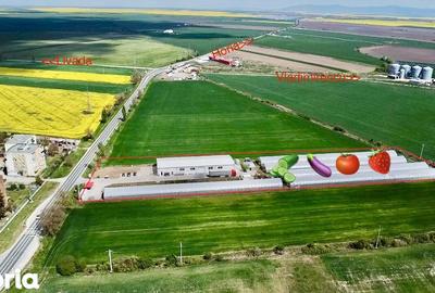 Spațiu comercial, de 10,000 mp, în Central - 2