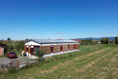 De vanzare Hala 160 m2 in localitatea Lapusel, comuna Recea, Maramures - 2