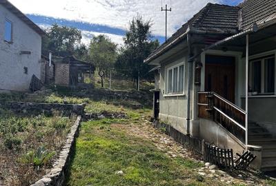 Casă cu 2 camere în Turcheș