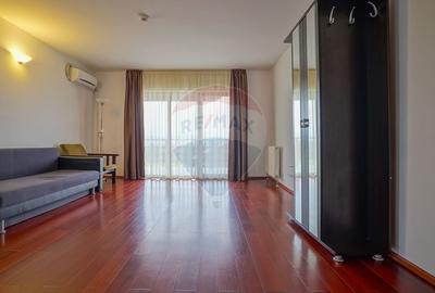 Hotel/Pensiune, de 2,950 mp, în Pănicel - 22