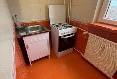 Garsonieră decomandată în Valea Rosie - 1