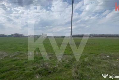 Teren în Cârcea - 4