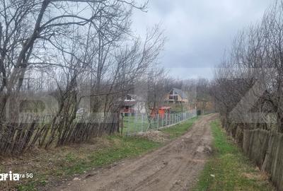 Teren de 3781 mp, în Izvoarele - 2
