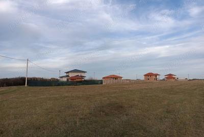 Spațiu comercial, de 300 mp, în Remetea Mare - 7