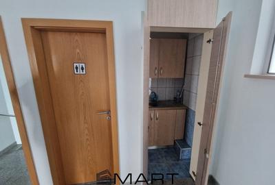 Spatiu comercial/showroom/birouri Turnisor - 8