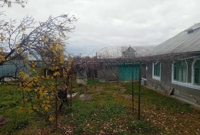 Casa Bodesti 50mp 2 camere bucataria anexe la sosea cu 1500mp teren - 4