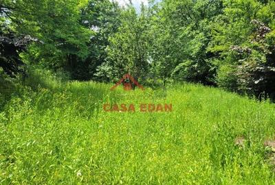 Casa in Baicoi--105.000e - 1