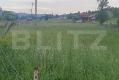 Casă cu 3 camere cu Teren 5747 Mp în Central - 4