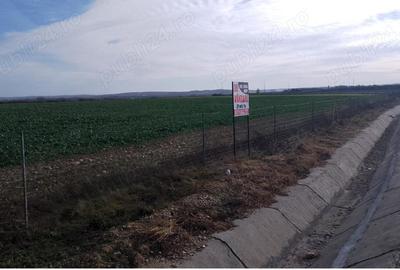 Vindem teren intravilan Biharia - 1