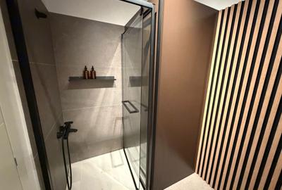 Apartament cu 2 camere decomandat, mobilat în Theodor Pallady - 29