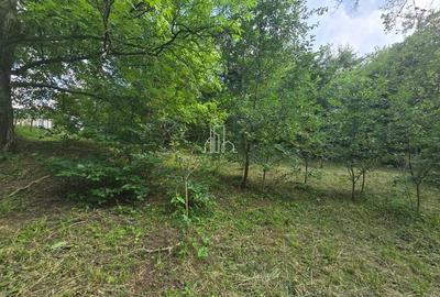 Casa 187Mp suprafat utila in zona centrala a Sighisoarei - 17