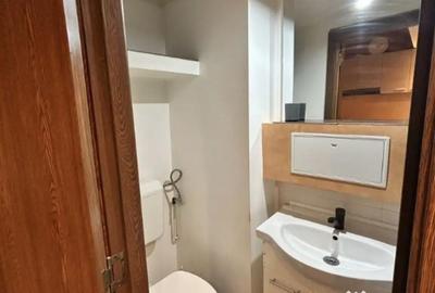 Garsonieră, mobilată în Nicolae Grigorescu - 2