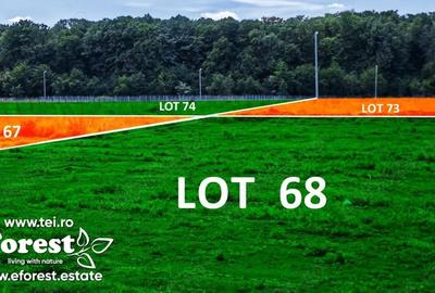 Teren de 720 mp, în Crevedia - 8