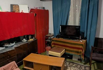 Primesc in gazda o persoana cu venit stabil - 12