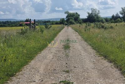 Teren de vânzare în Calea Cisnădiei, Sibiu - 550 mp, PUZ aprobat, vedere superbă - 13