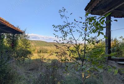 Casa ?araneasca cu livada ?i gradina mare,Vata de jos,Hunedoara - 4