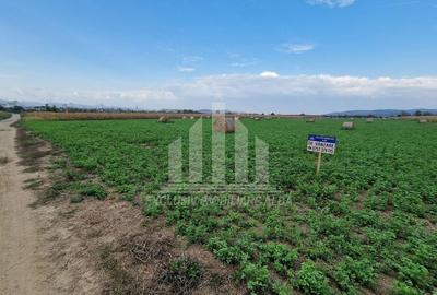 20 de parcele pentru constructii langa soseaua de centura - 3