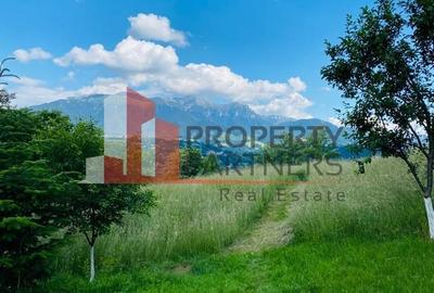 Vilă in Bran cu teren de 28.000 mp și priveliște spectaculoasa - 26