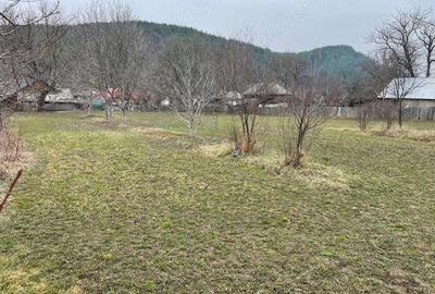 Teren în Câmpuri
