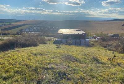 Spațiu comercial, în Șura Mare - 3