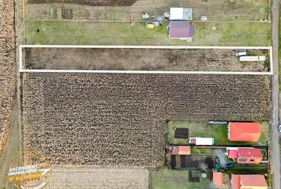 FILM! Teren mixt, 2.493 mp, Chilieni, judetul Covasna - 2