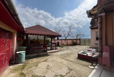 Casă individuală cu 4 camere cu Teren 2935 Mp în Belinț - 22