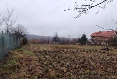 Teren intravilan in Saliste de Beius - 3