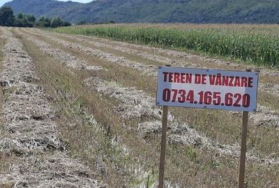 Teren de 8000 mp, în Podu Oltului