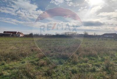 Teren de 1330 mp, în Drăgoiești - 2