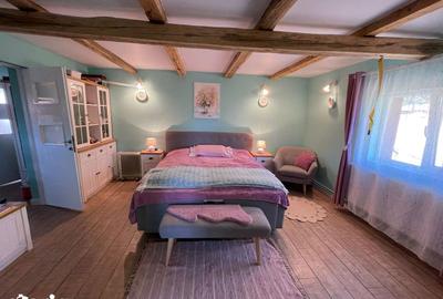 Casă cu 4 camere cu Teren 5000 Mp în Șuncuiuș - 6