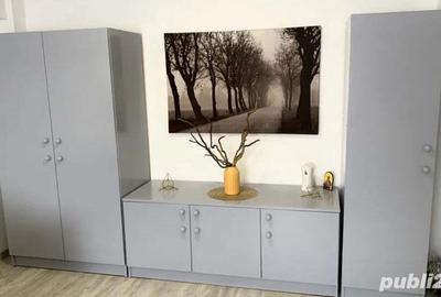 Garsoniera Drumul Taberei Favorit - 1