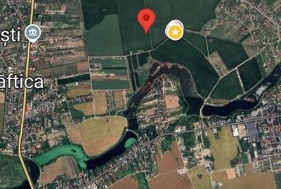 Saftica, Balotesti - 1