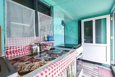 Casa spatioasa cu anexe si gradina in localitatea Ungra/Brasov - 18