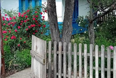 Vand casa batraneasca - 5
