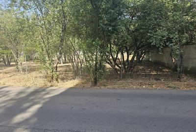 Vanzare Teren Baneasa Lac=Petrom City - 2