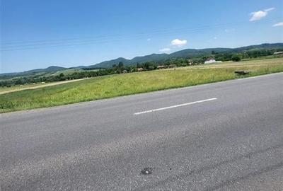 Teren Construcții intravilan de 2900 mp, în Borod - 3
