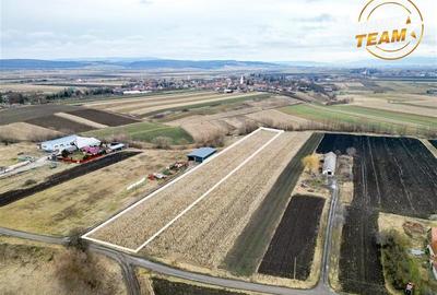 Teren intravilan de 5800 mp, în Dobolii de Jos - 1