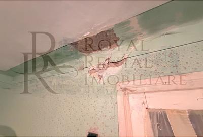 Casă individuală cu 2 camere cu Teren 2200 Mp în Făureni - 22